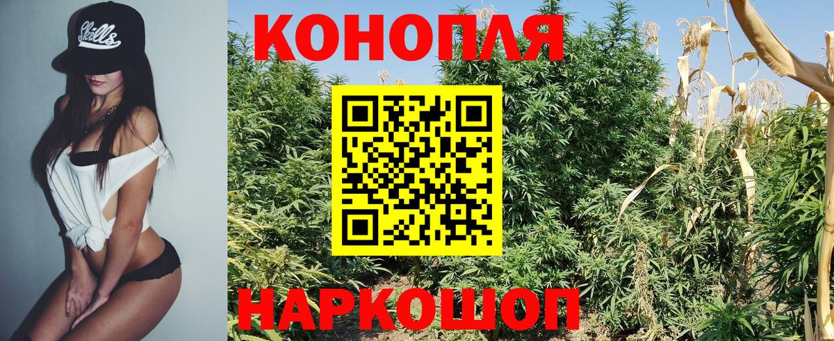 Бошки Шишки MAZAR  Вход с VPN  Бошки марихуана планчик  Канабис семена  Воркута 